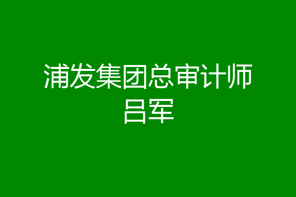 浦发集团总审计师吕军