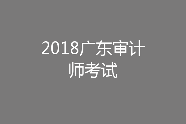 2018广东审计师考试