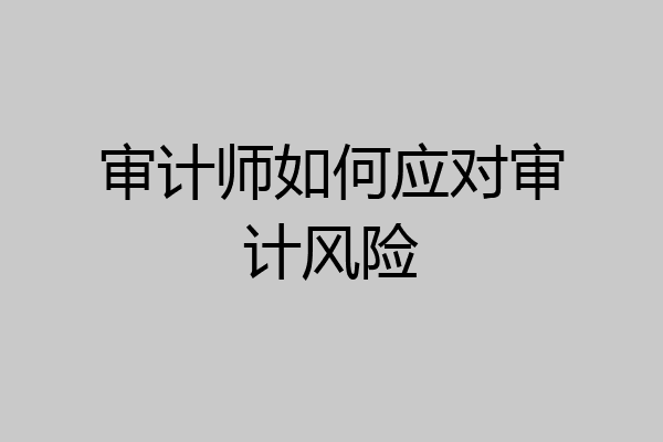 审计师如何应对审计风险
