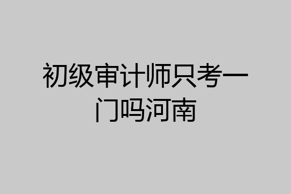 初级审计师只考一门吗河南