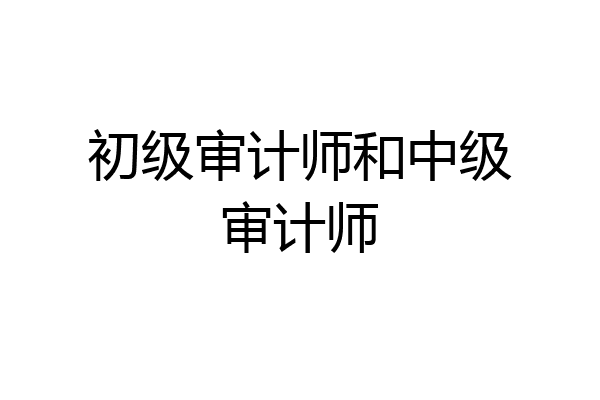 初级审计师和中级审计师
