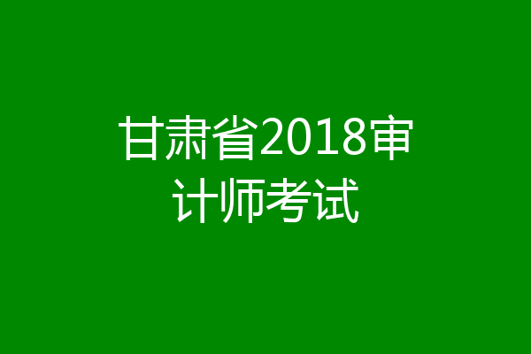 甘肃省2018审计师考试