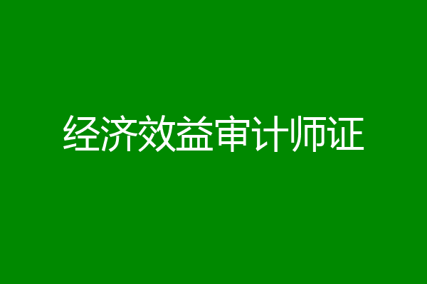 经济效益审计师证