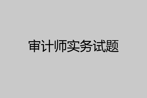 审计师实务试题