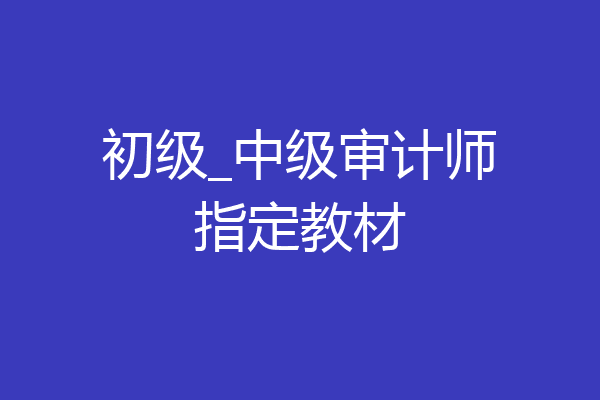 初级_中级审计师指定教材