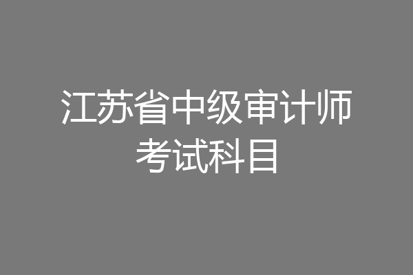 江苏省中级审计师考试科目
