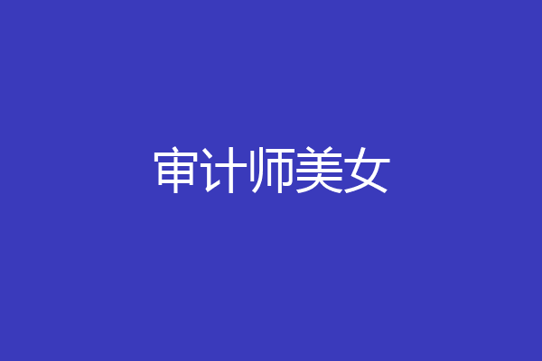 审计师美女
