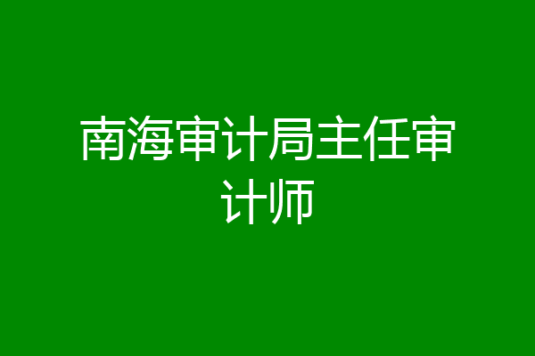 南海审计局主任审计师