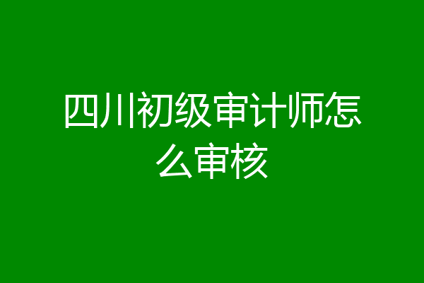 四川初级审计师怎么审核