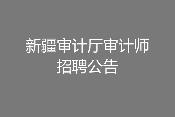 新疆审计厅审计师招聘公告