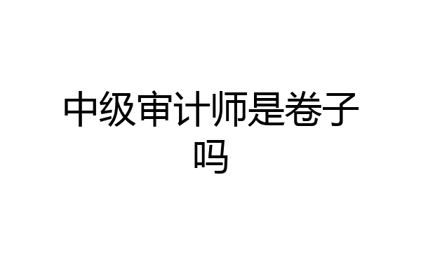 中级审计师是卷子吗