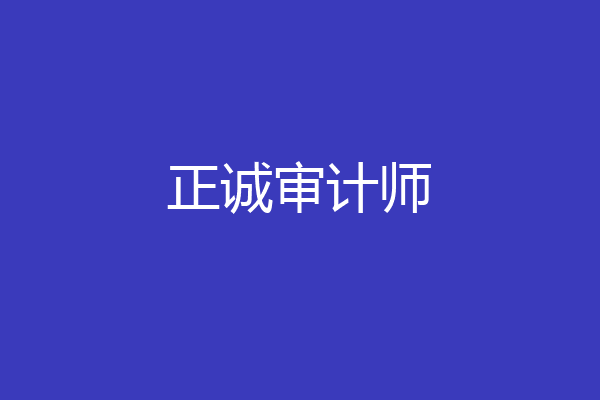 正诚审计师