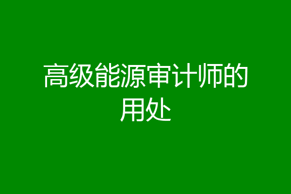 高级能源审计师的用处