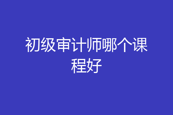 初级审计师哪个课程好