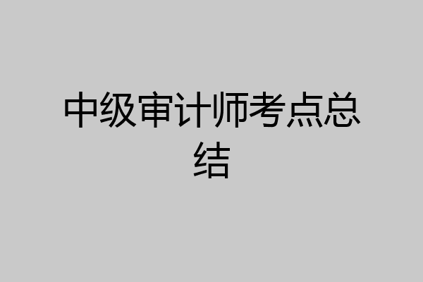 中级审计师考点总结