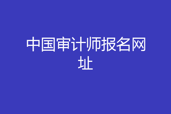 中国审计师报名网址
