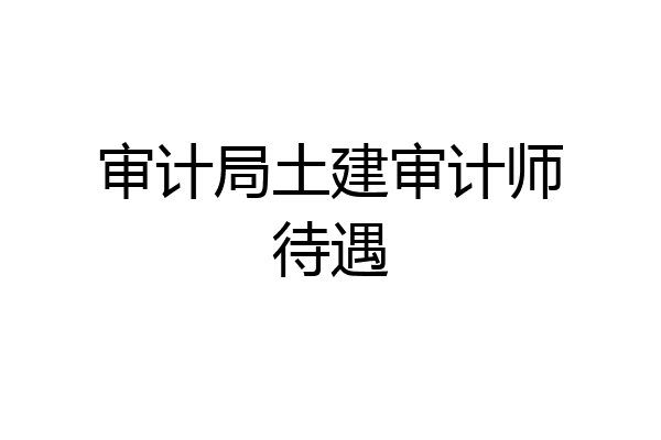 审计局土建审计师待遇