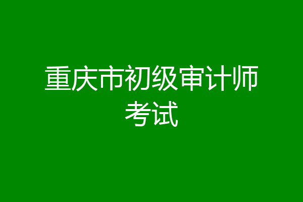重庆市初级审计师考试