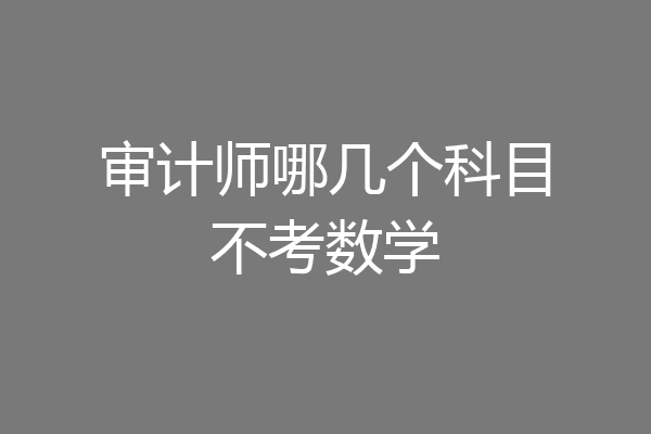 审计师哪几个科目不考数学