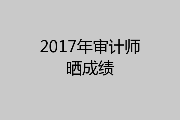 2017年审计师晒成绩