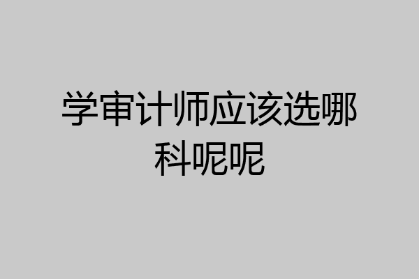 学审计师应该选哪科呢呢