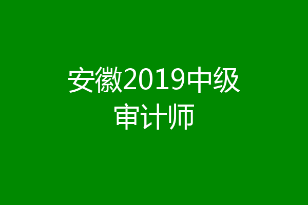 安徽2019中级审计师