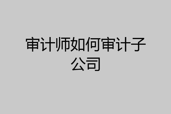 审计师如何审计子公司