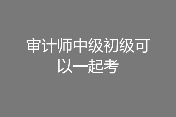 审计师中级初级可以一起考