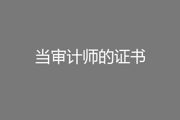 当审计师的证书