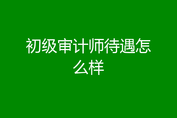 初级审计师待遇怎么样