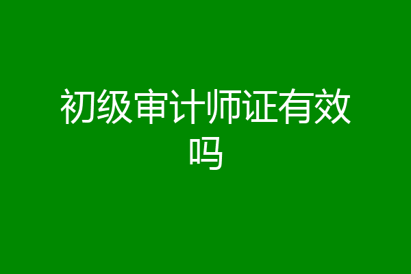 初级审计师证有效吗