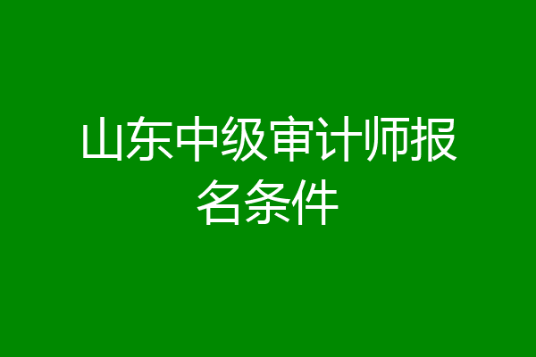 山东中级审计师报名条件