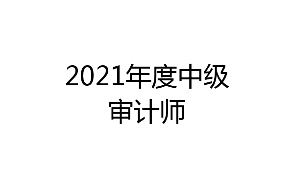 2021年度中级审计师