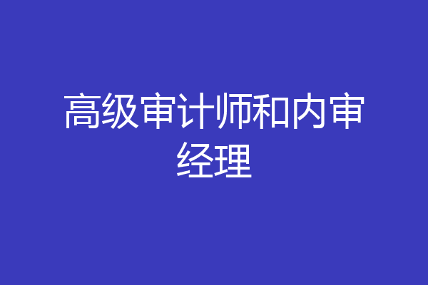 高级审计师和内审经理