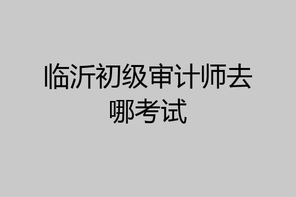 临沂初级审计师去哪考试