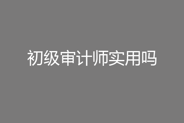 初级审计师实用吗