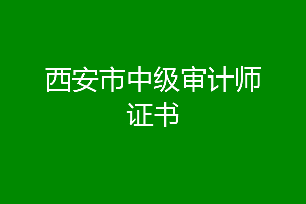 西安市中级审计师证书