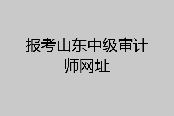 报考山东中级审计师网址
