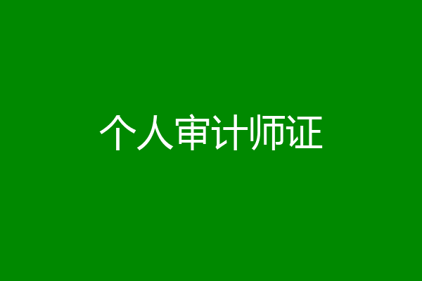 个人审计师证
