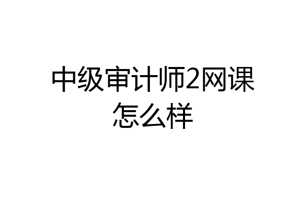 中级审计师2网课怎么样
