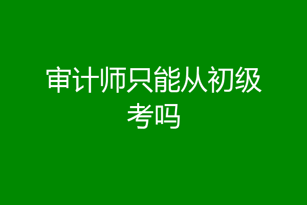 审计师只能从初级考吗