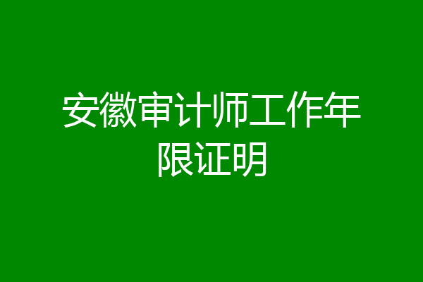 安徽审计师工作年限证明