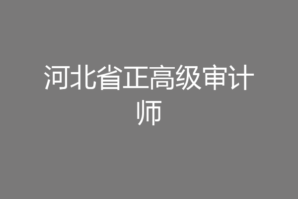 河北省正高级审计师