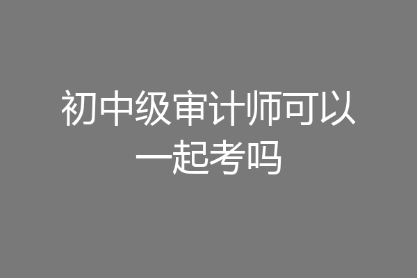 初中级审计师可以一起考吗