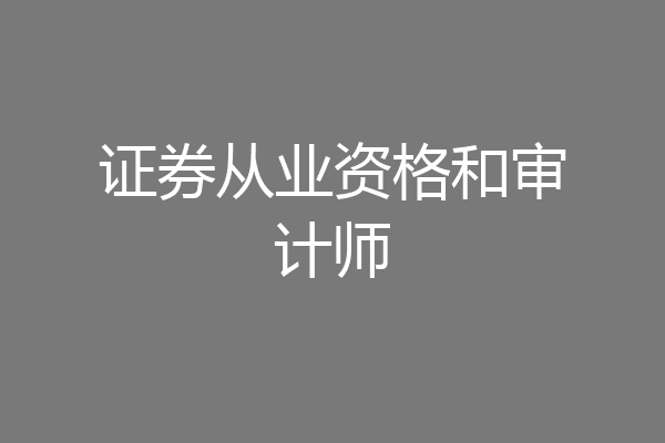 证券从业资格和审计师
