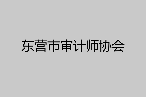 东营市审计师协会