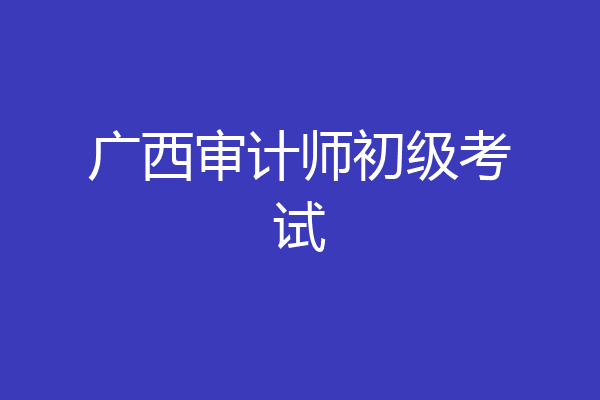 广西审计师初级考试