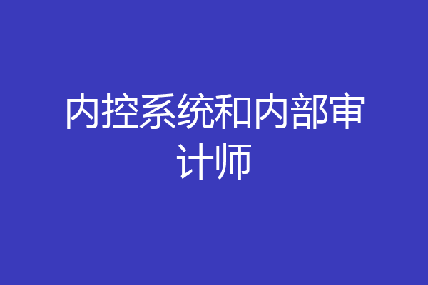 内控系统和内部审计师