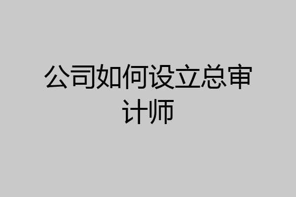公司如何设立总审计师