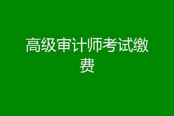 高级审计师考试缴费